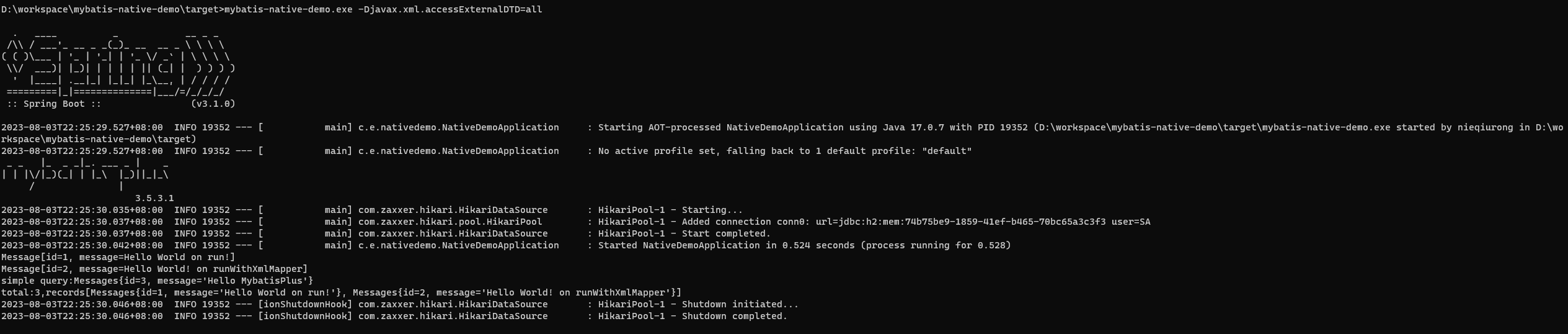 MyBatis-Plus SpringBoot3支持问题