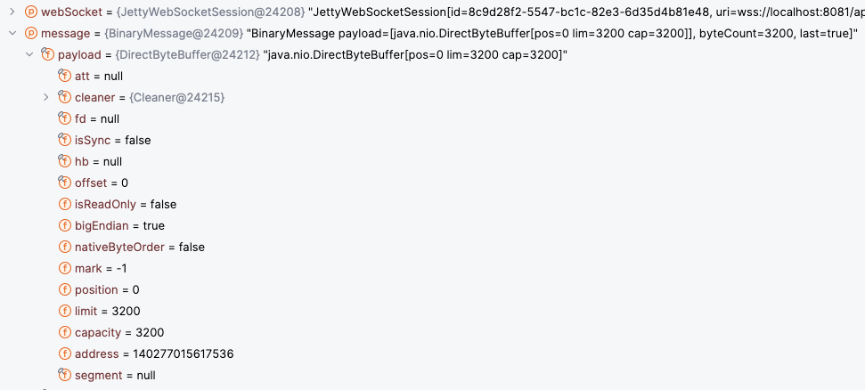 Spring ByteBuffer with null hb array