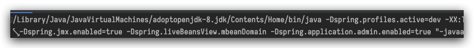 SpringBoot -Dspring.profiles.active ignored when mvn spring-boot:run