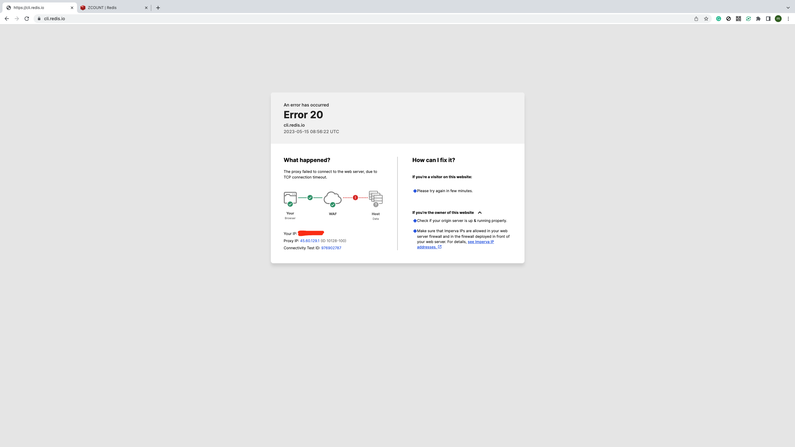 Redis [CRASH] It seems that cli.redis.io is down