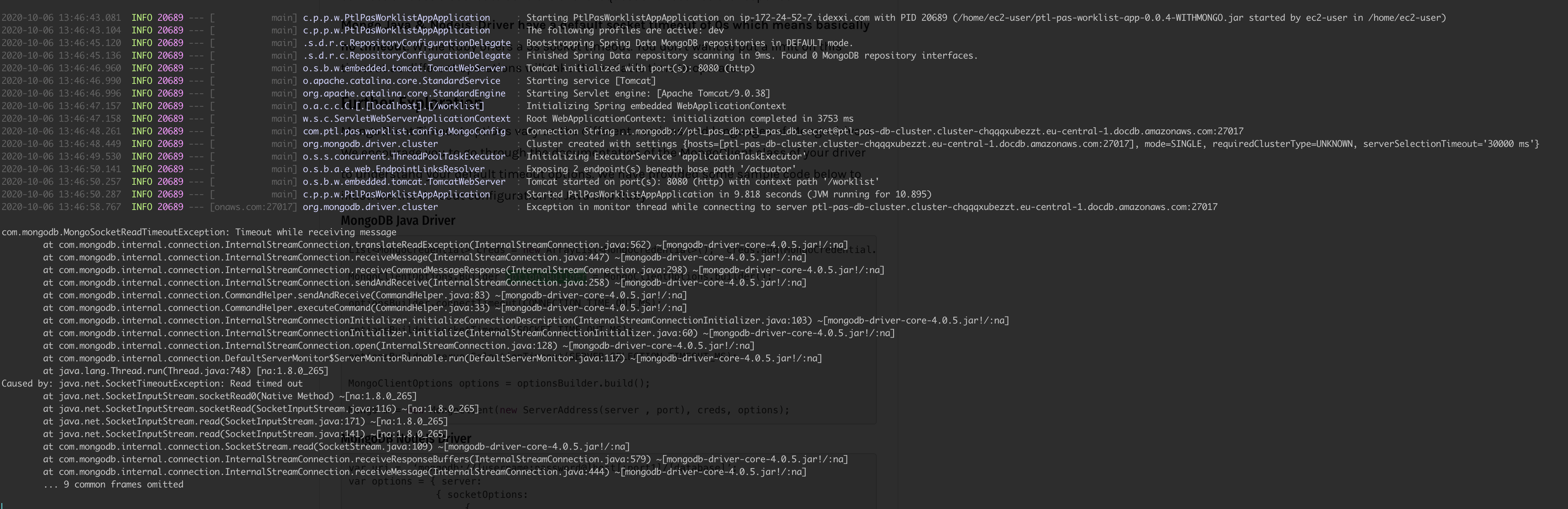 Spring Spring Data Mongo Db + AWS Document DB