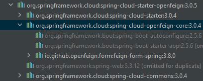 OpenFeign_20211104_090254
