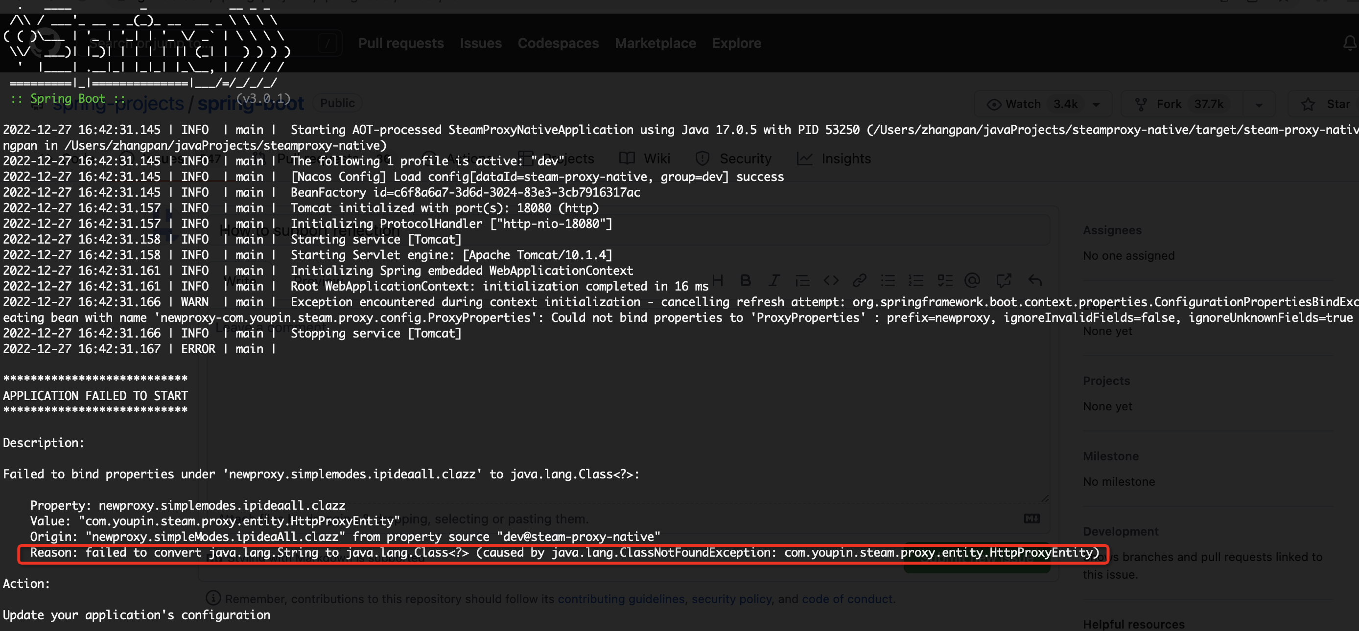 SpringBoot How to support reflection