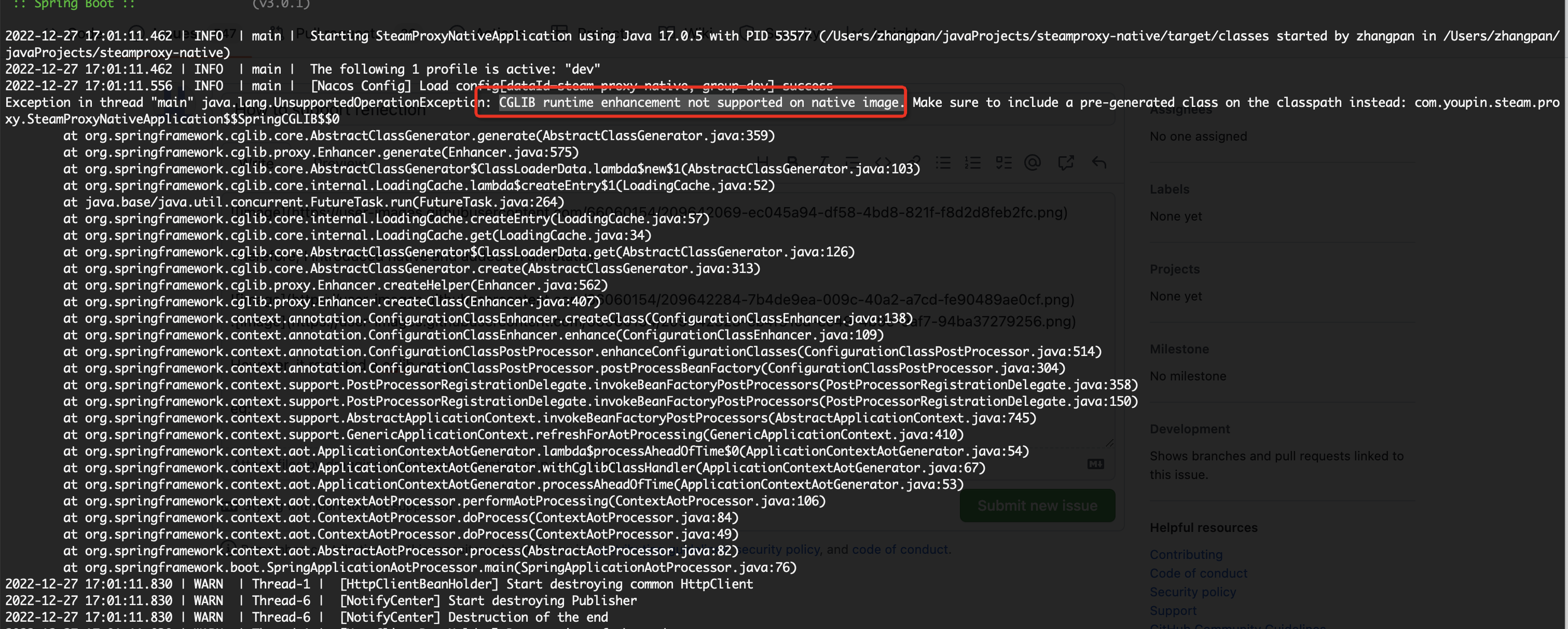 SpringBoot How to support reflection