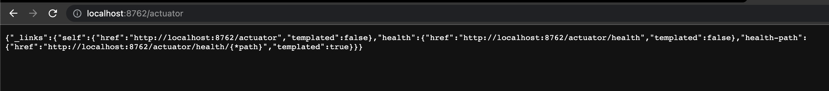 Spring Cloud Netflix Netflix Eureka Server dashboard not showing and not registering server