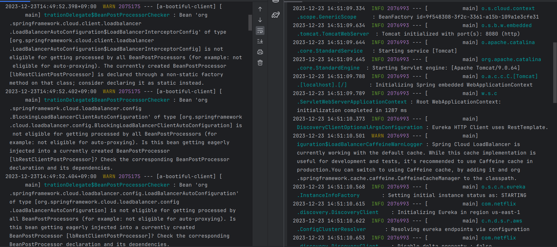 Spring Cloud Netflix Issue with Eureka DiscoveryClient with latest 2022.0.3-SNAPSHOT (4.0.2-SNAPSHOT)