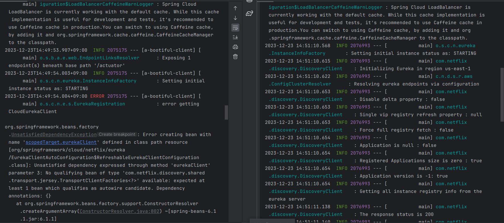 Spring Cloud Netflix Issue with Eureka DiscoveryClient with latest 2022.0.3-SNAPSHOT (4.0.2-SNAPSHOT)