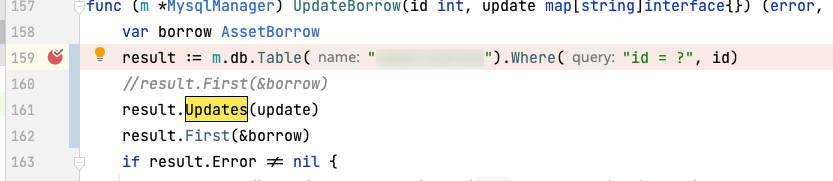 Gorm panic: query after update