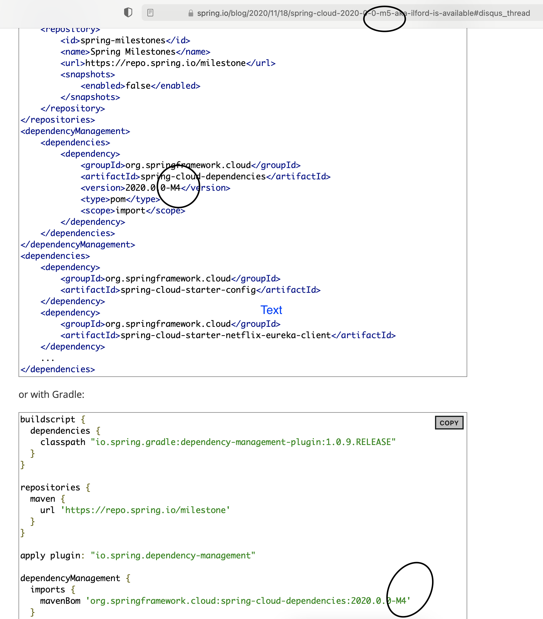 Screen Shot 2020-11-19 at 4 10 50 PM
