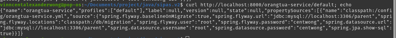 Spring Cloud Config spring cloud config server in docker