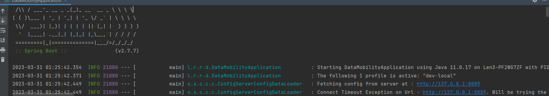 SpringBoot Enable ANSI output on Windows automatically