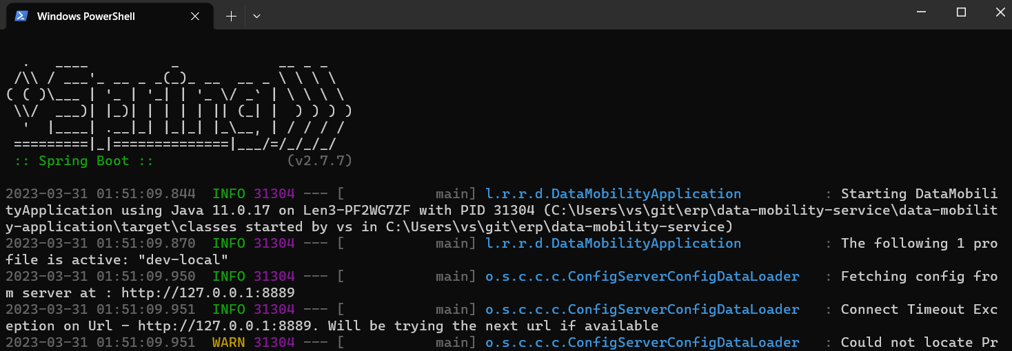 SpringBoot Enable ANSI output on Windows automatically