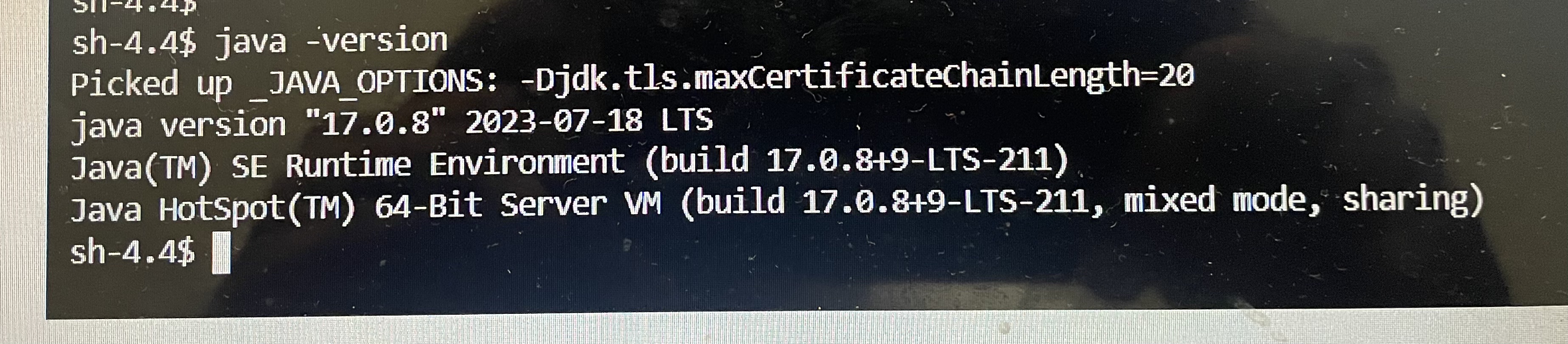 SpringBoot Spring Boot 3.X and Java 17 - Bouncy Castle issue 