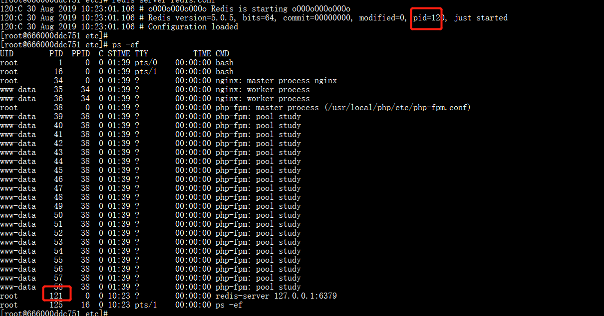 Redis is a bug of showing pid when startup server？