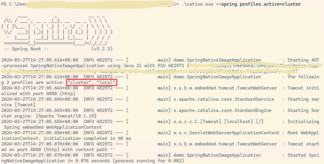 Spring Document that active profiles are set at build time with AOT