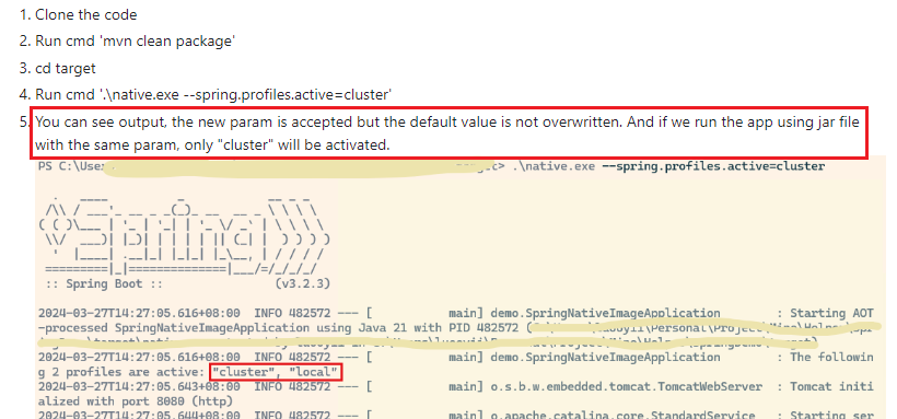 Spring Document that active profiles are set at build time with AOT