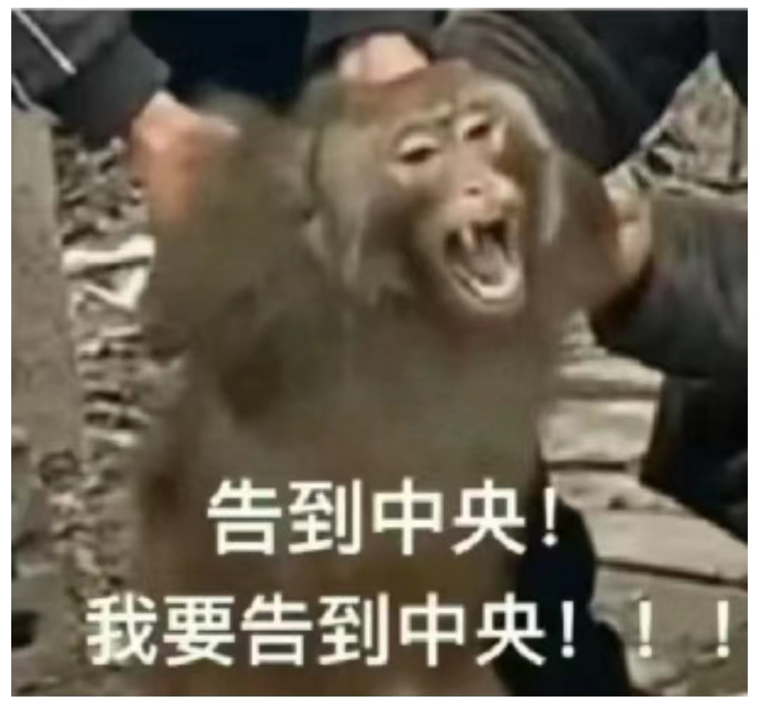 0867c95d24f9de7c867ee629732b915