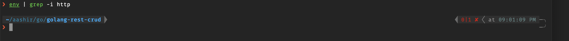 Gin http: proxy error: dial tcp [::1]:3001: connect: connection refused