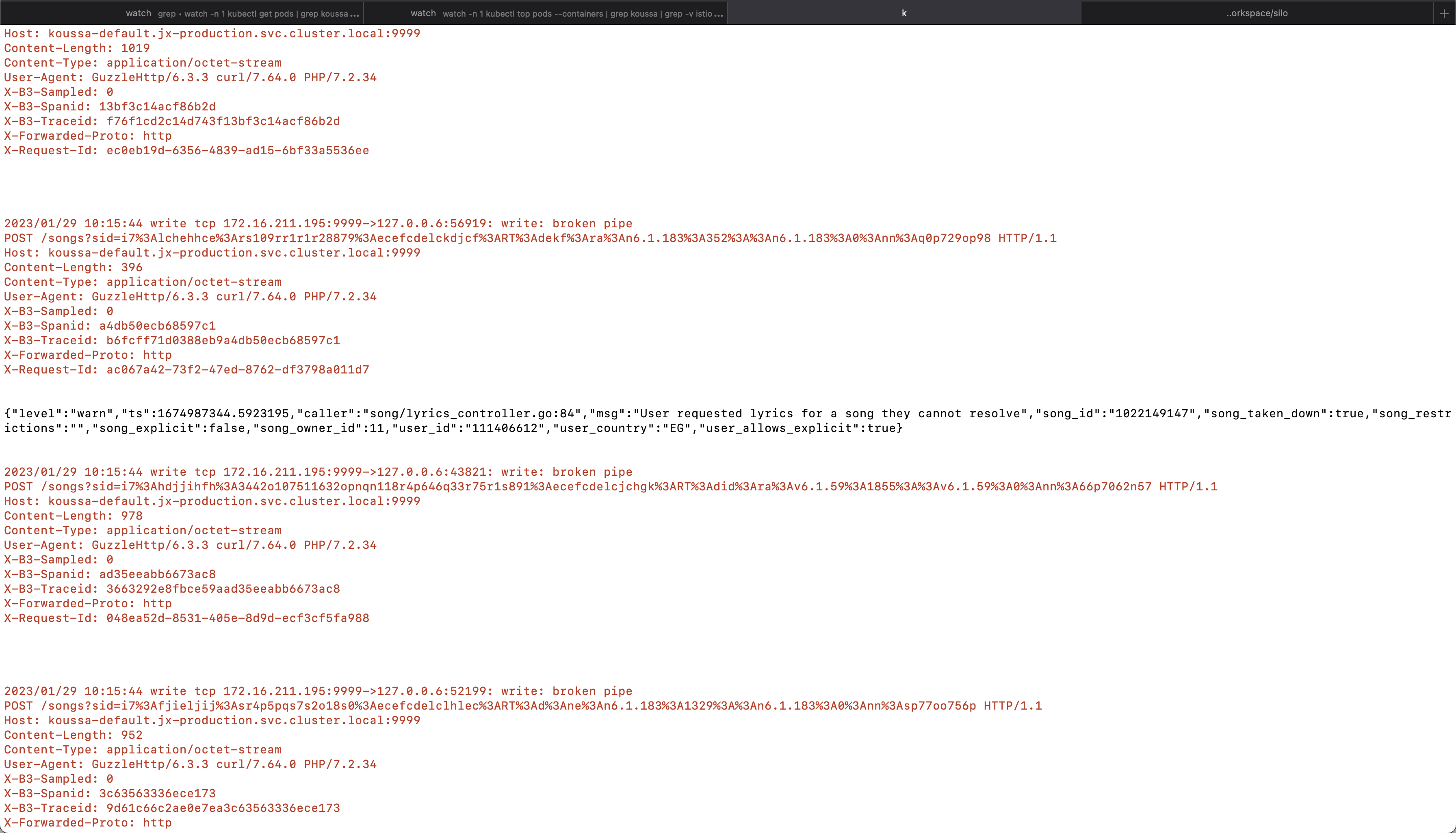 Gin Make Recovery log JSON