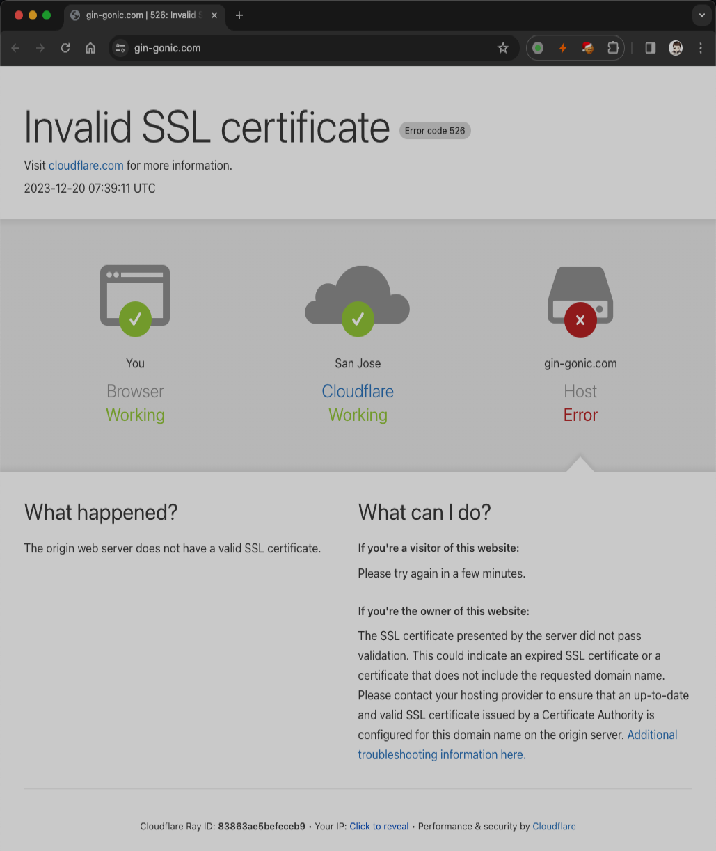 Gin https://gin-gonic.com/ Invalid SSL certificate