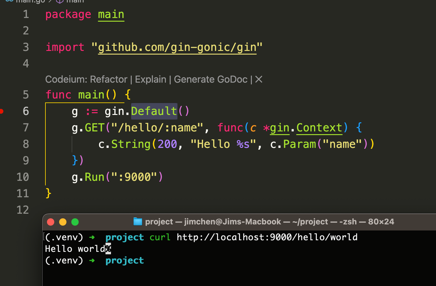 Gin $ go run example.go